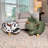Upholstered Polyester Blend Standard