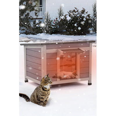 Abri pour chat isolé pour chat extérieur