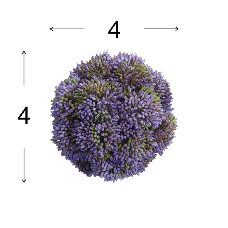 Boules de Sedum décoratives, Mauve