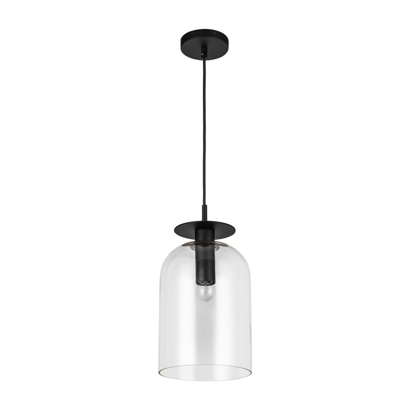 Luminaire suspendu simple à 1 lumière Delisa, Noir mat