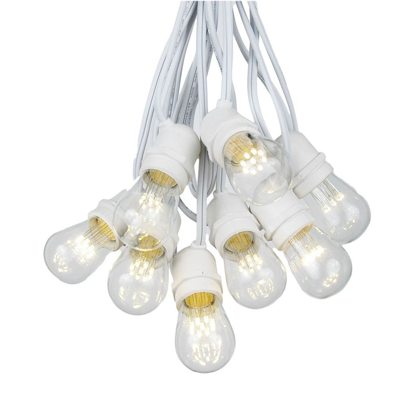 Darius Outdoor 25 - Bulb 37.5'' Plug-in String Light, With S14 LED Bulb, Black