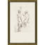 Nude Study II Framed Drawing Print