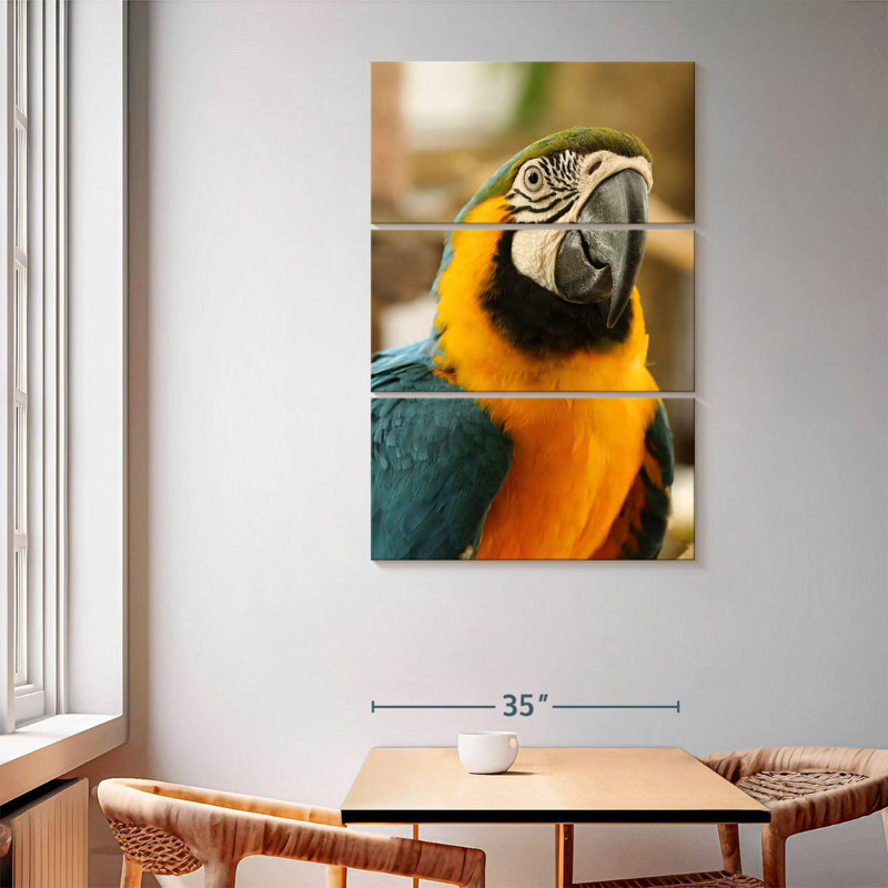 Brampt Exotic Macaw, 65" H x 42" W