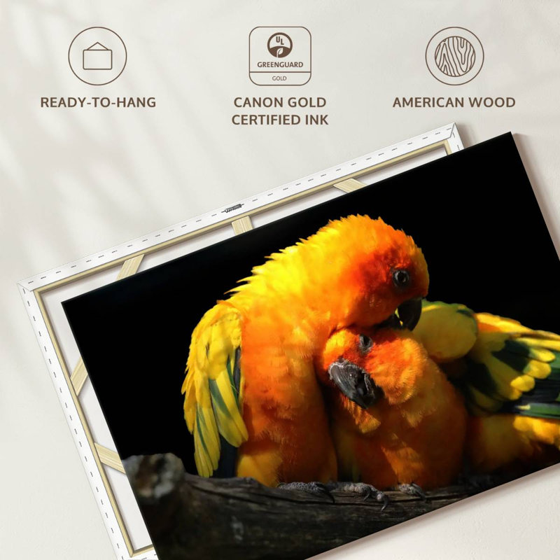 Crowle Perched Parrot Pair, 8" H x 12" W