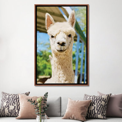 " White Alpaca " by Susan Vizvary