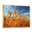 Canada Golden Harvest I - impression-1608039984-1608039986
