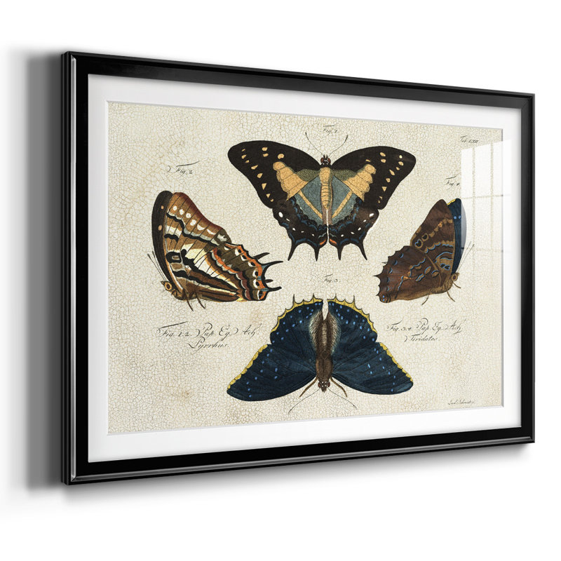 «Crackled Butterflies IV», reproduction d'art encadrée, Noir, H 15 po x l 21 po x P 1,5 po
