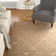Forres Oriental Indoor Rug