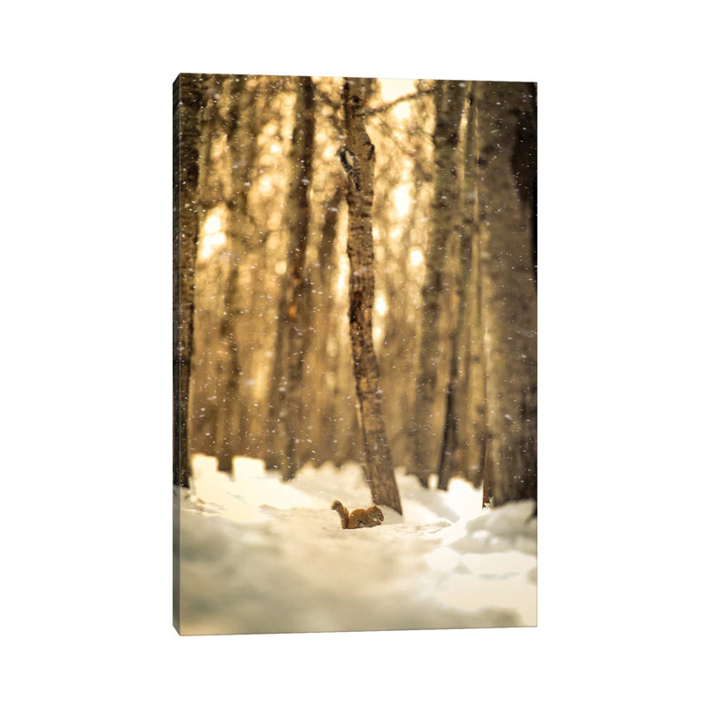 Squirrel In A Deep Snow by Nik Rave - Wrapped Canvas Print, 20.32 cm H x 30.48 cm W
