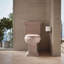 Lustra with Quick-Release Hinges Toilet Seat-342726767-342726762