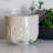 Fondrisi Stone Table Vase