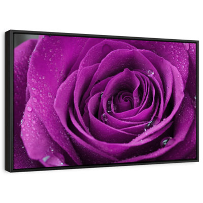 «Droplets On Purple Rose», reproduction sur toile