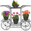 Support pour plante à fleurs cart