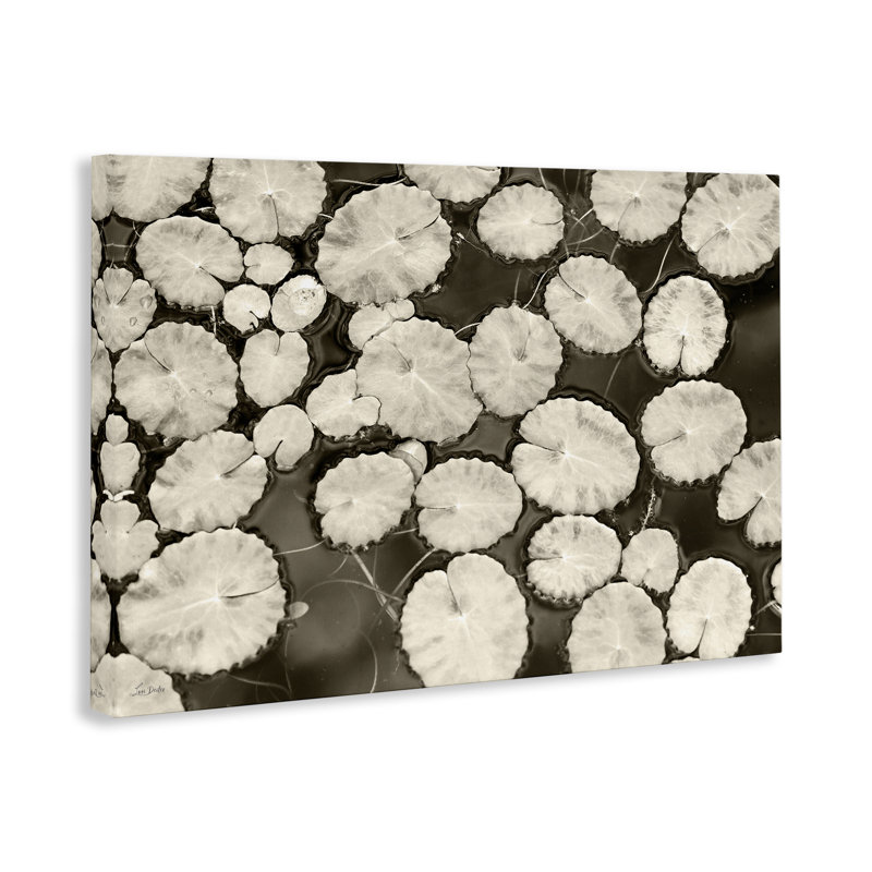 Toile blanche avec nénuphars flottants, design par Lori Deiter, H 16 po x l 24 po