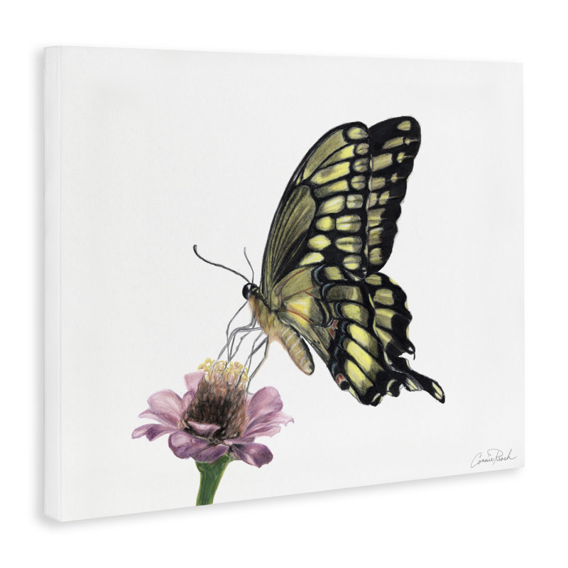 Art mural sur toile Minimal Butterfly & Flower par Connie Resch, H 16 po x l 20 po
