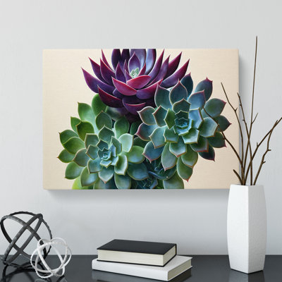 Watercolour Succulent Plant Vol.2 - Wrapped Canvas