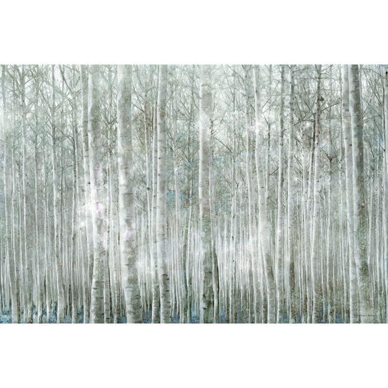 Bouleaux par Bluebird Barn - impression, H 20 po x l 30 po, Papier avec cadre simple noir avec passe-partout