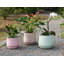 Petit pot en terre cuite roulé à la main avec soucoupe intégrée - Intérieur-1299429188-1299429192