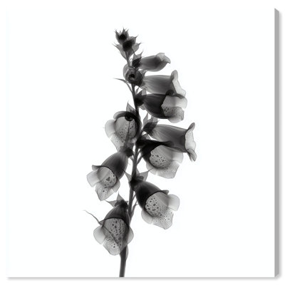 Ossified Petals II Print by Oliver Gal