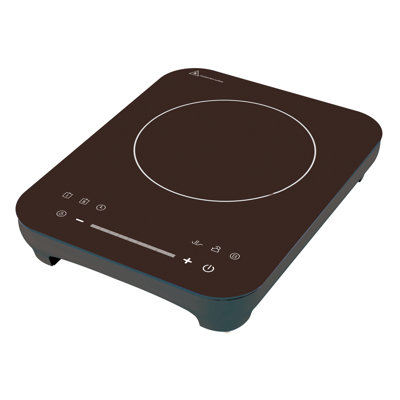 Cuiseur à induction technologie homevision Ecohouzng