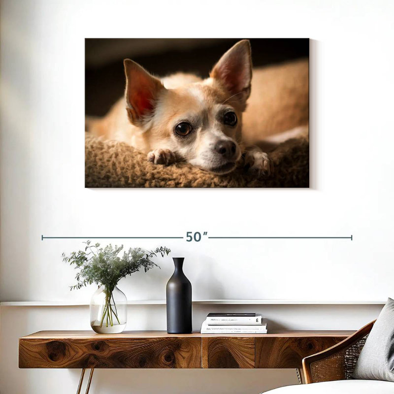 Brampt Resting Chihuahua, 24" H x 36" W