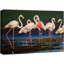 Flamants roses vibrantes, safari et jungle-93629616-93629615