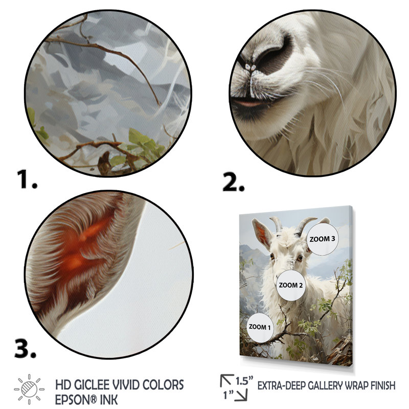 Impression sur toile Barbarann Goat Gratification I, Cadre photo noir, H 40 po x l 30 po x P 1,5 po