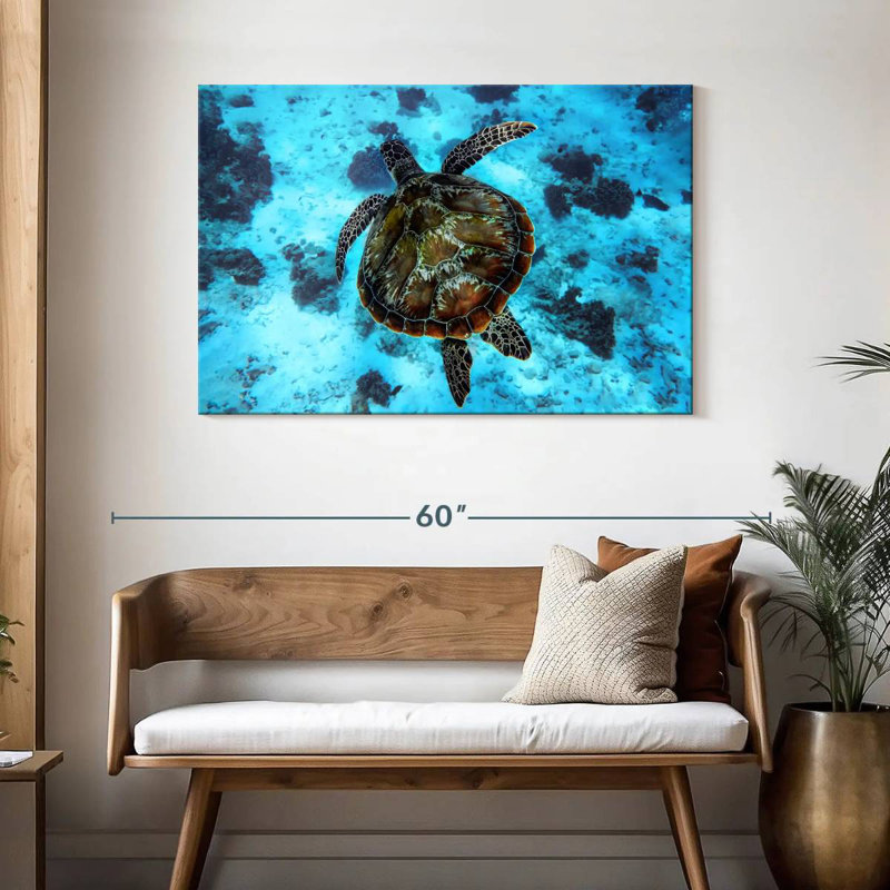 Brampt Turtle Habitat, 30" H x 45" W