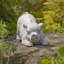 Statue de jardin Hamlan