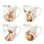 Butterfly Meadow Bunny 4Pc Mugs
