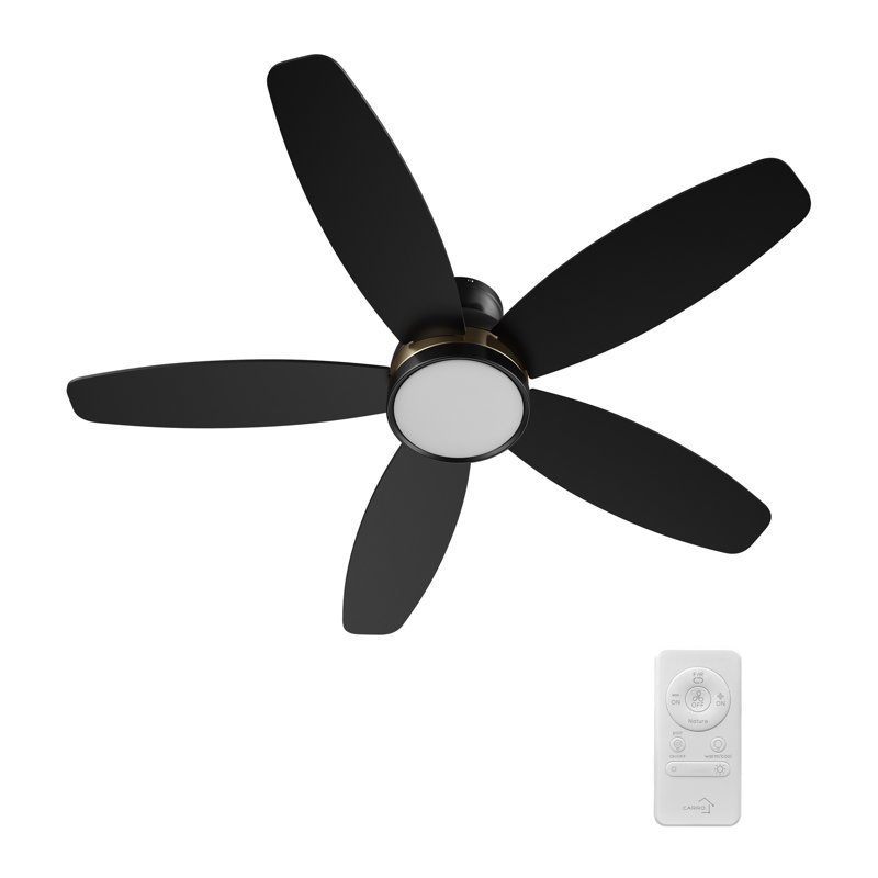  Ventilateur de plafond encastré à DEL à 5 pales de 48 po avec télécommande et ensemble d'éclairage inclus, Noir