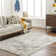 Imauri Light Silver Machine Washable Area Rug