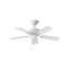 Ventilateur de plafond extérieur à 5 pales de 36 po avec chaînette Barwood-252248594