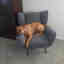 Photos des clients 4 de 5