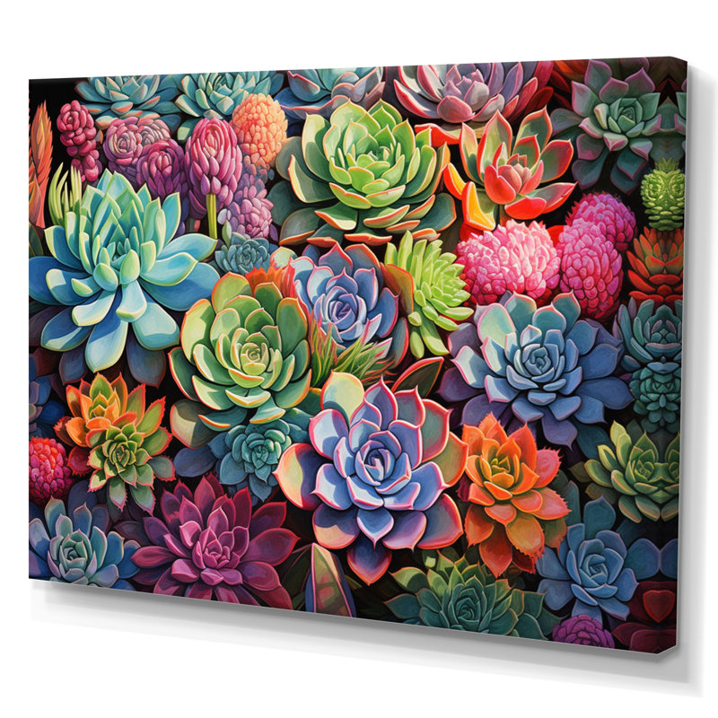 Plantes succulentes colorées, abondance de plantes grasses, H 34 po x l 44 po x P 1,5 po, Toile tendue