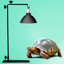 Reptile lamp stand