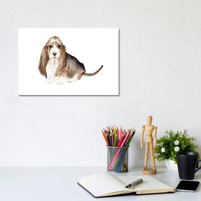 Basset Hound 1 Piece Wrapped Canvas Painting