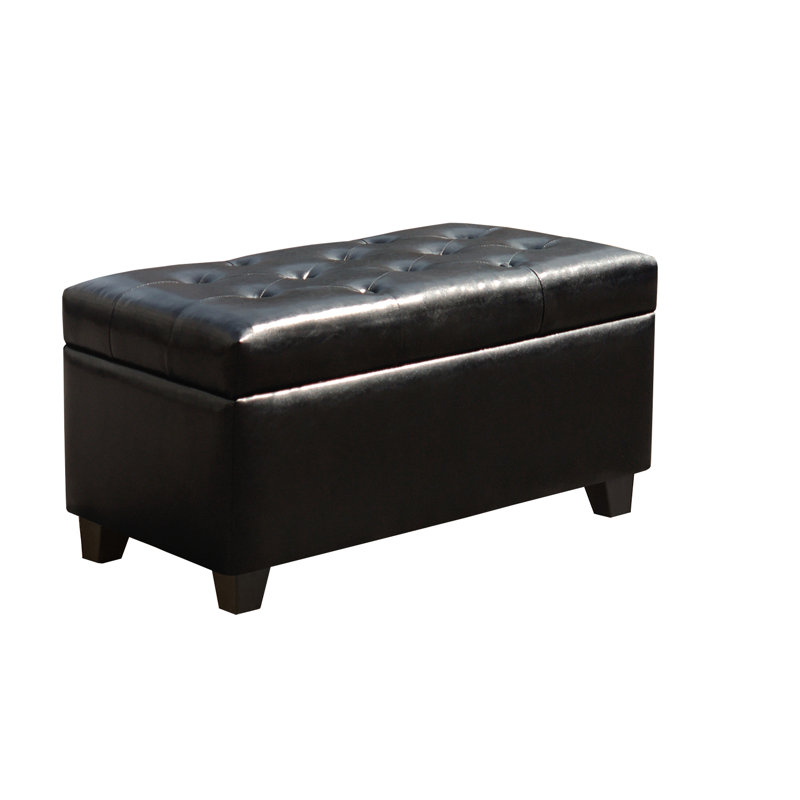 Banc de rangement rembourré Defazio, Noir