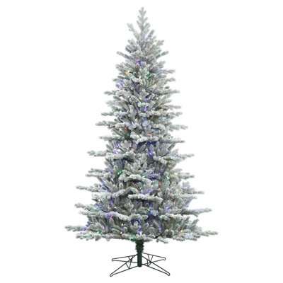 Lighted Christmas Tree