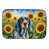Bluetick Coonhound 6030 est en rupture de stock