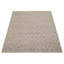 Henar Performance Hand Braided Wool Rug