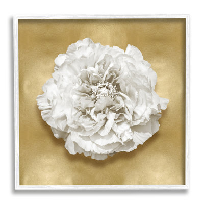 Œillet blanc glamour encadré sur bois par Caroline Kelly