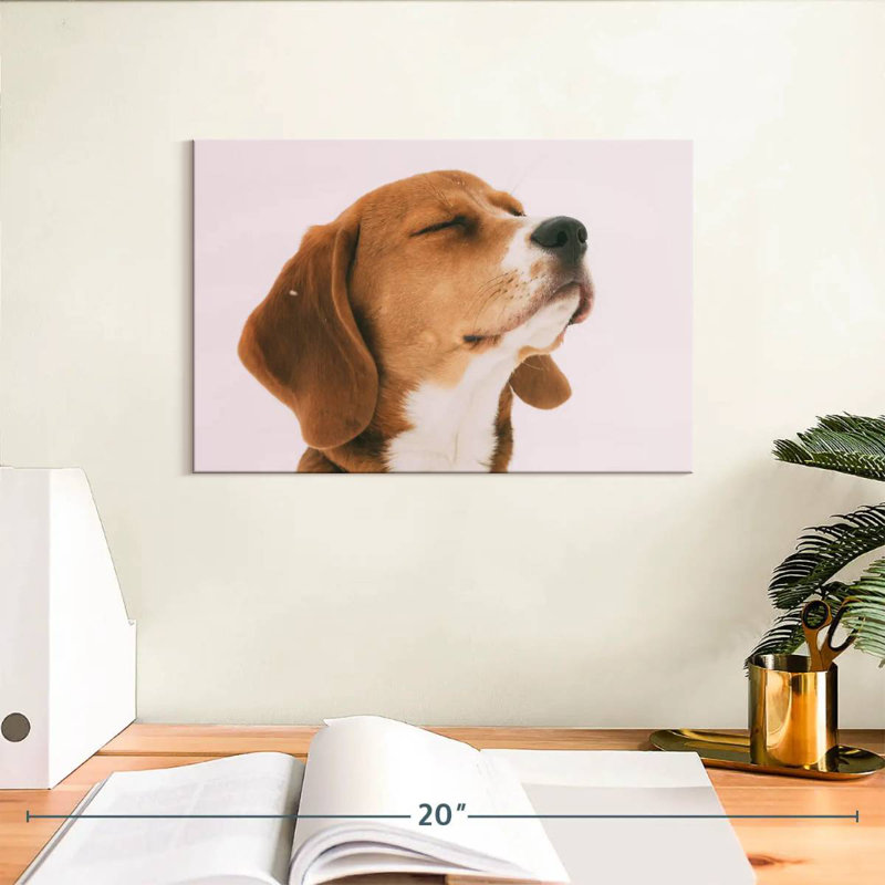 Brampt Beagle, 8" H x 12" W