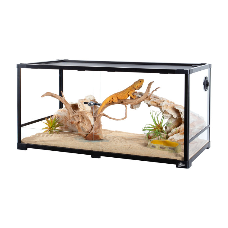 02/11 Couples XL Terrarium