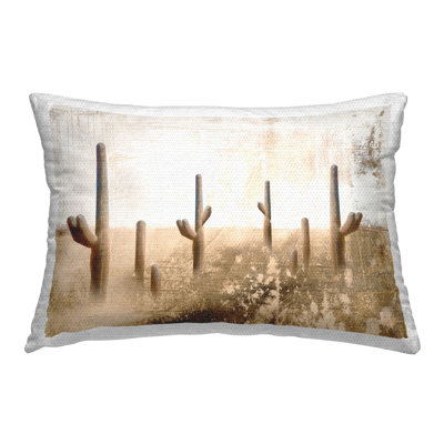 Rustic Weathered Cactus Outdoor Printed Pillow by Dan Meneely