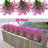 Mixed Assortment Arrangement-1616388580