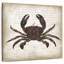 Crabe Brampt II