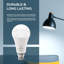 5 Pack LED B22 A95 Light Bulb, 22W (100W Equivalent) Non-Dimmable Cool White 6500K 2206lm Energy Saving GLS LED Golf Super Bright Light for Home Lining Dining Area Appliance