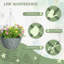 45cm Plant