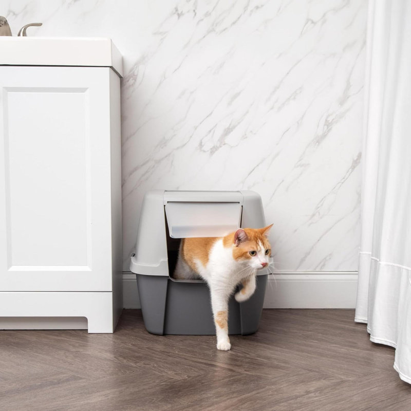 Litière pour chat USA avec rabat de porte avant et bac à chat avec poignée et boucles